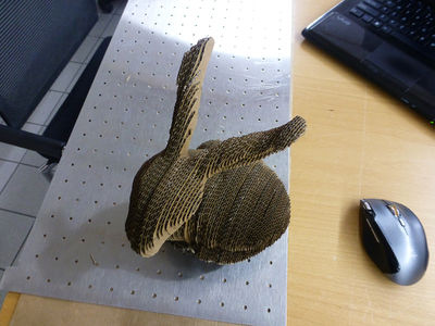 123d-make-2-bunny-project.jpg