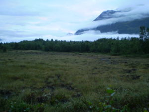 Polleidet area Marshland