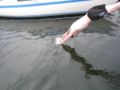 Thumbnail for version as of 13:23, 25 January 2011